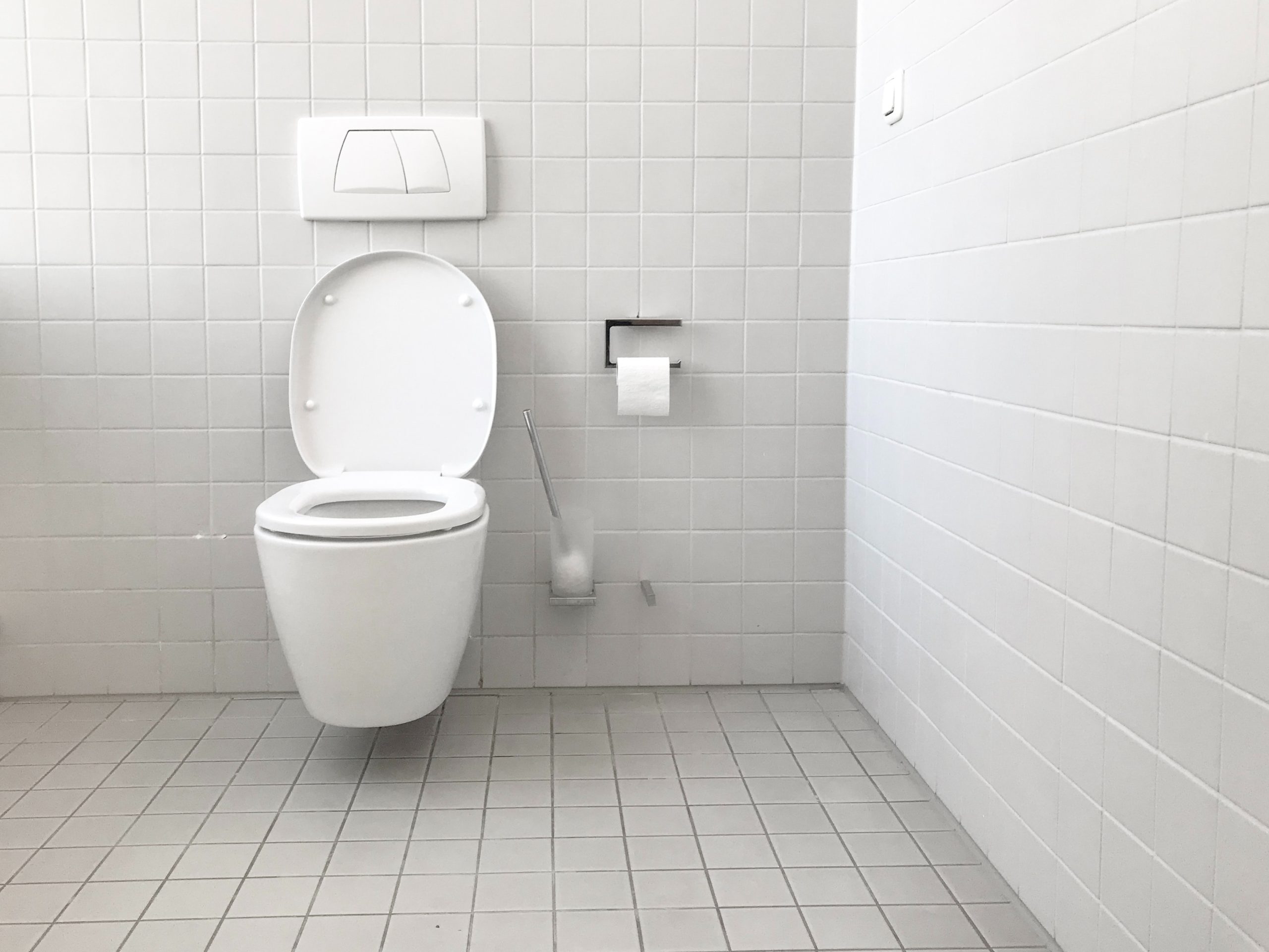 image of a toilet | portable toilet rental washington oregon