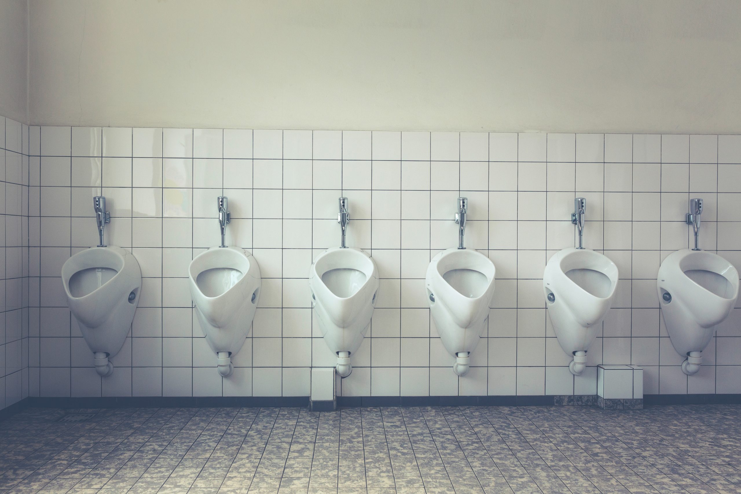 image of urinals | portable toilet rental washington oregon