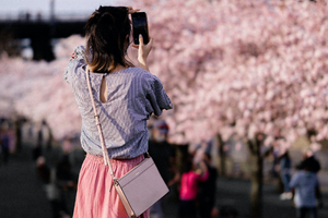 image of woman taking a photo in front of portland cherry blossoms | Porta potty portable toilet rental portland oregon salem vancouver washington
