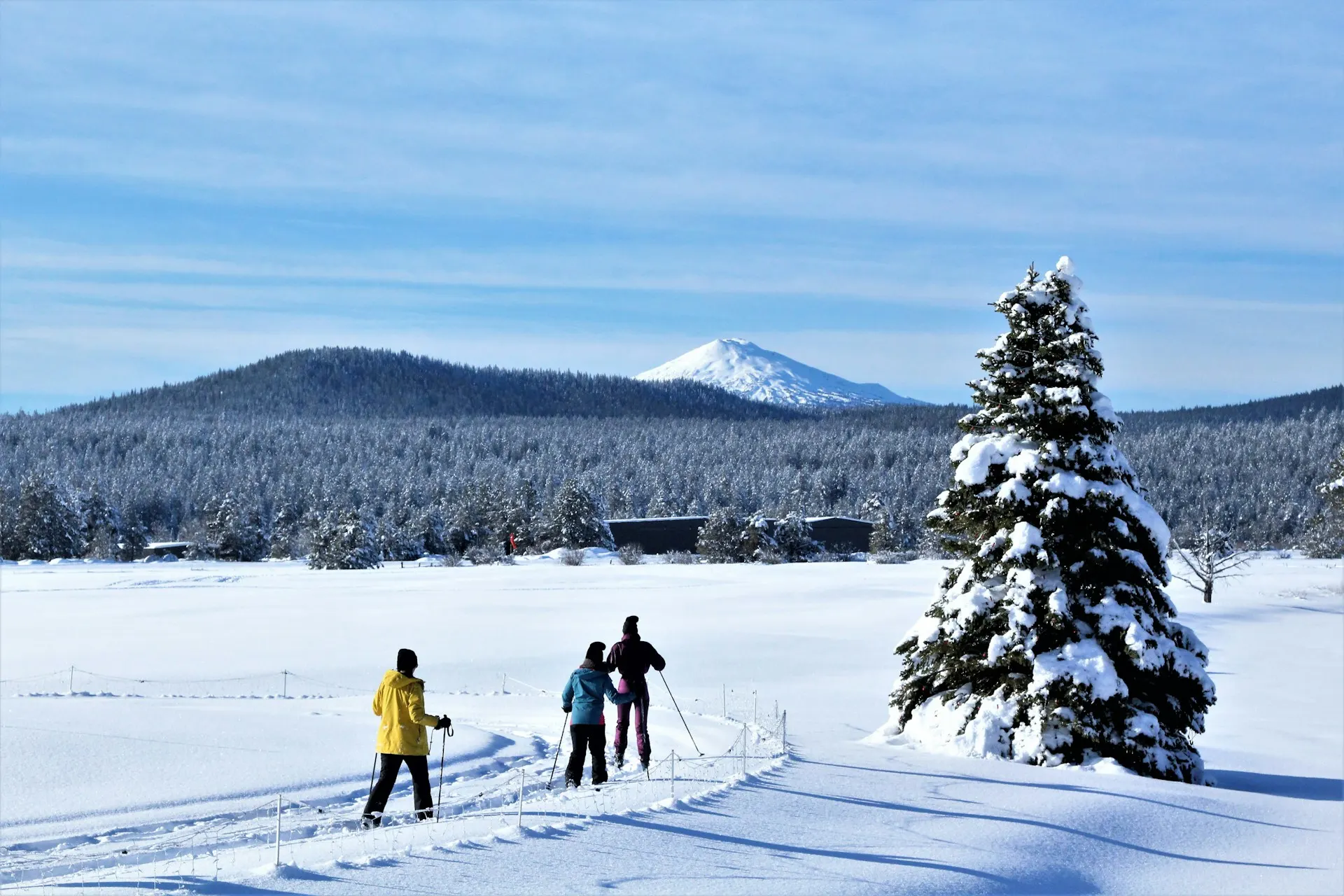 A small group of cross country skiers skiing through Oregon with threes and a mountain in the background